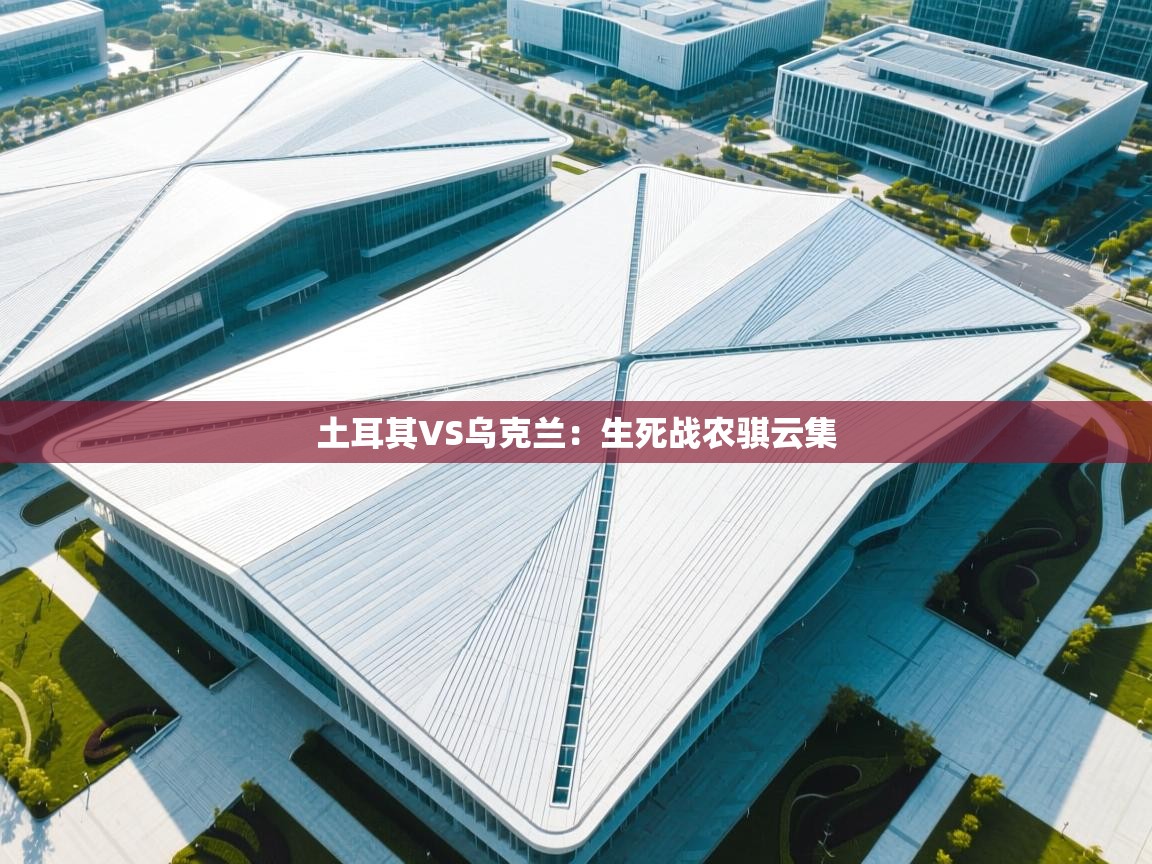 土耳其VS乌克兰:生死战农骐云集 第1张